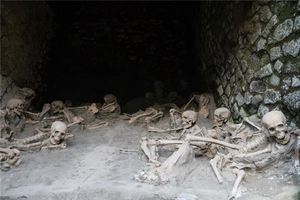 夢見死人頭骨