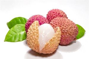 夢見荔枝